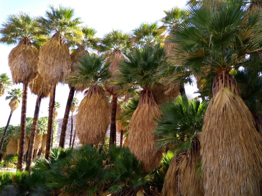 IMG_20190125_110304749