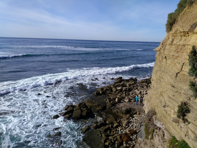 IMG_20190126_145500088