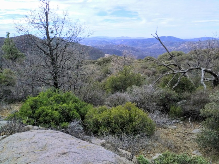 IMG_20190128_1109368152