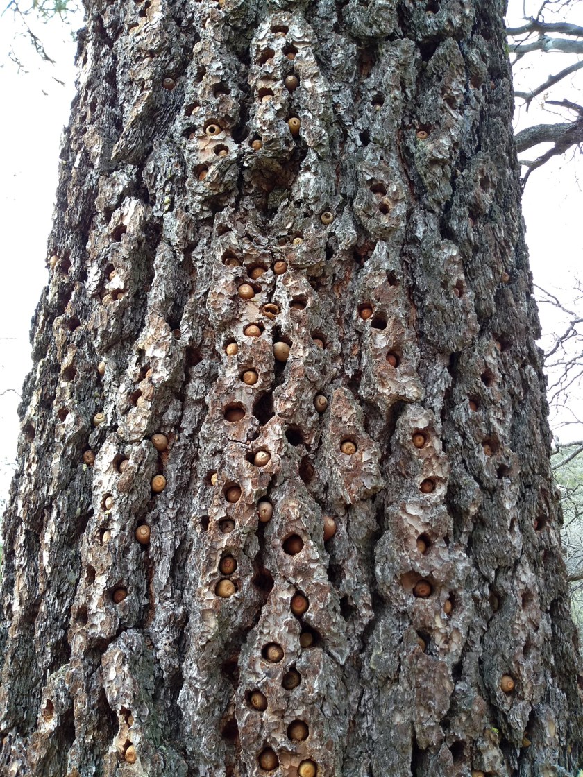 IMG_20190128_112228312