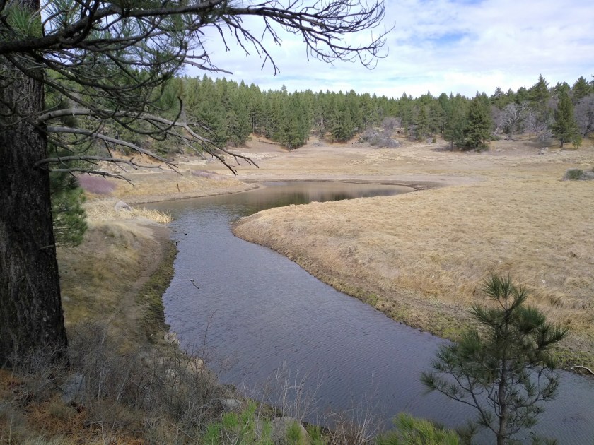 IMG_20190128_1143006532