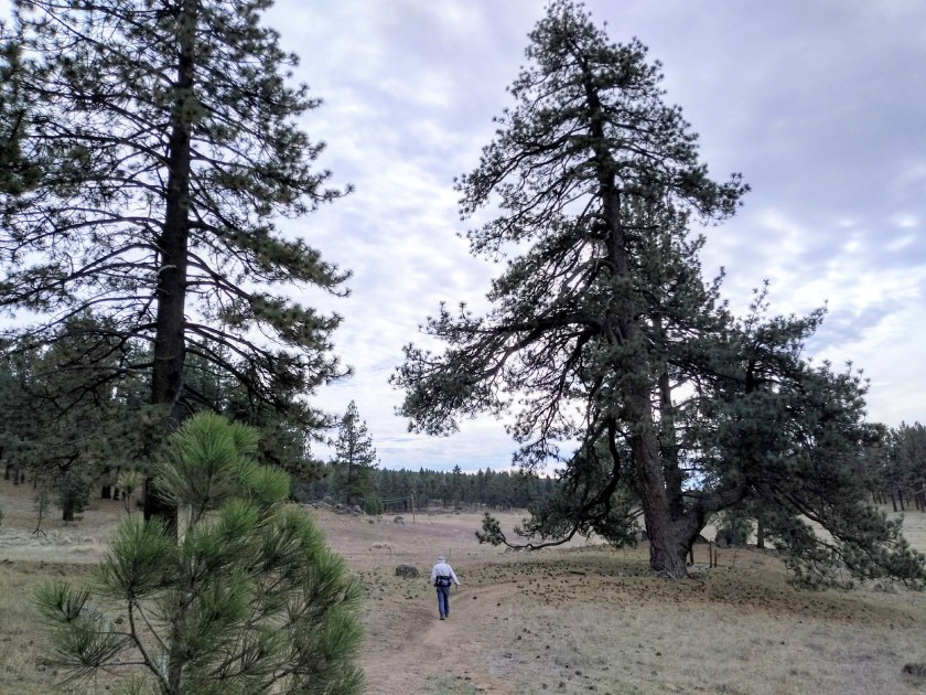 IMG_20190128_132952483_HDR2