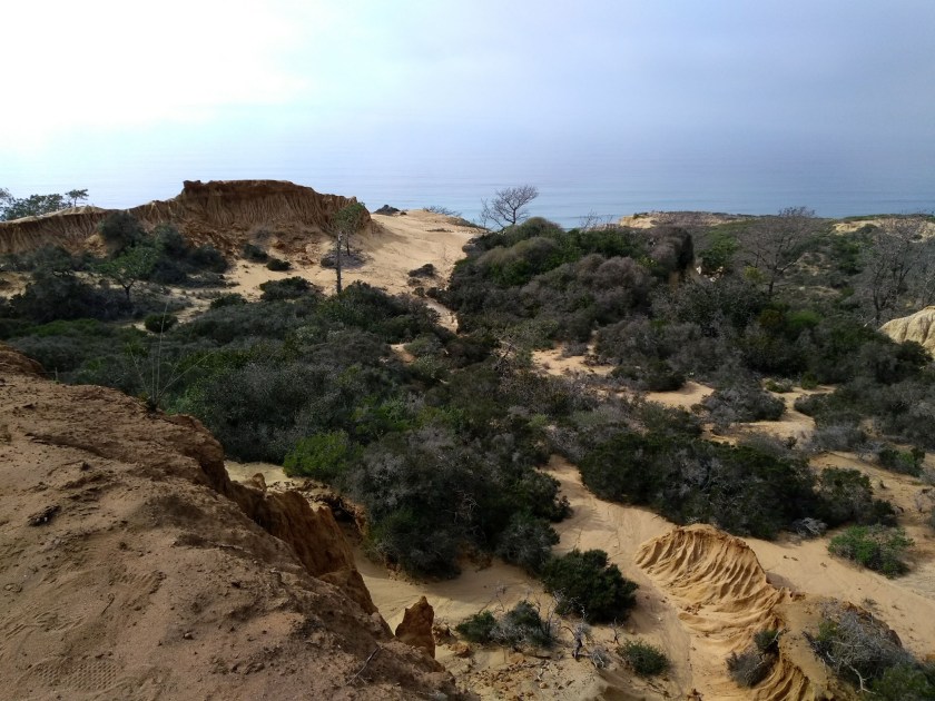 IMG_20190129_135311691