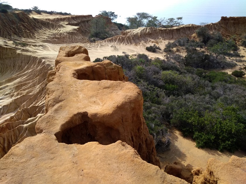 IMG_20190129_135516828