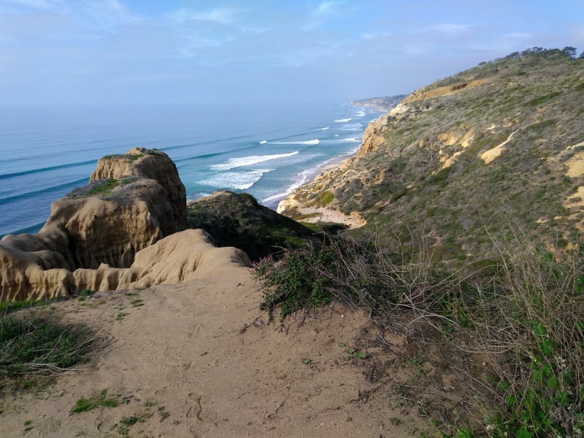 IMG_20190129_145050231