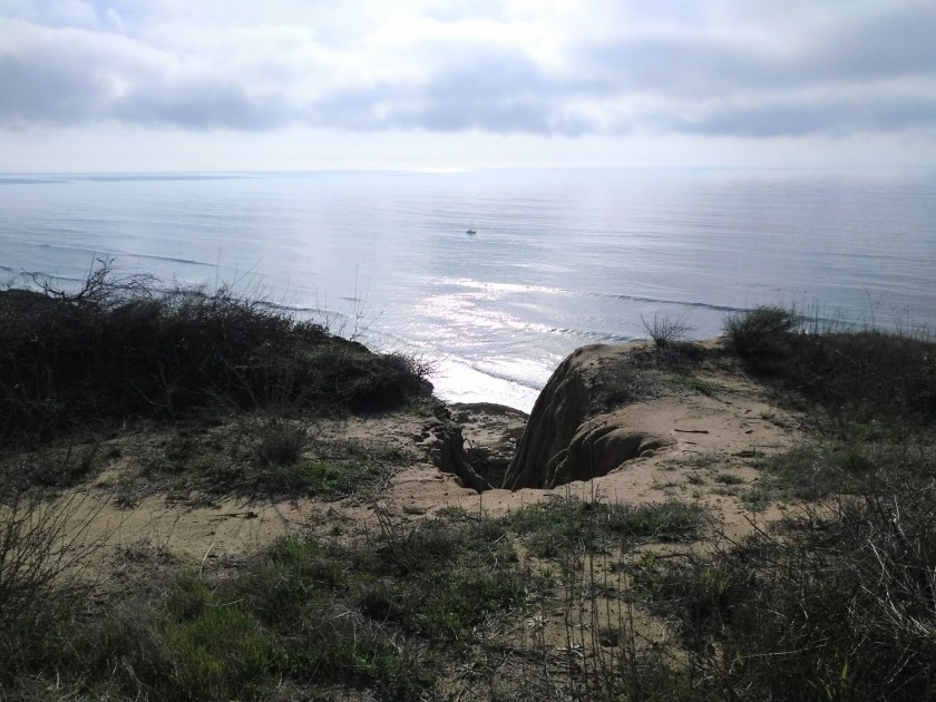 IMG_20190129_1459238032