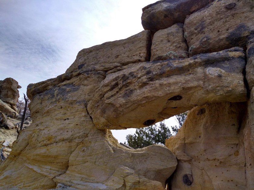 img_20190213_113826028_hdr