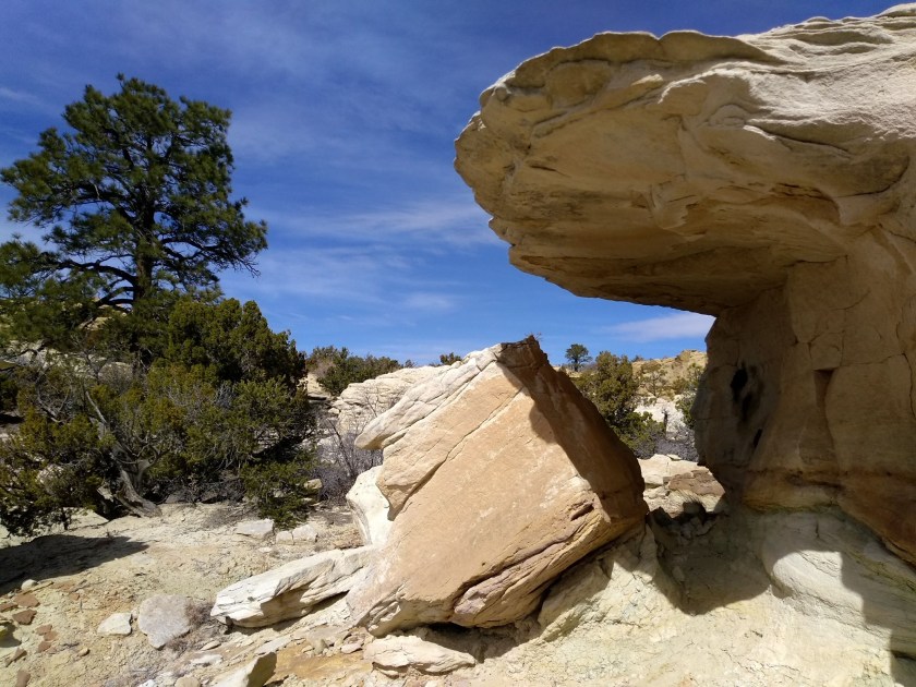 img_20190213_121124156