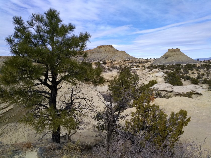 img_20190213_124500120