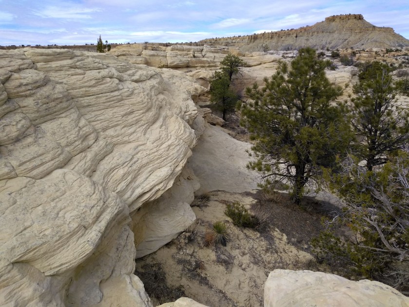 img_20190213_124723725