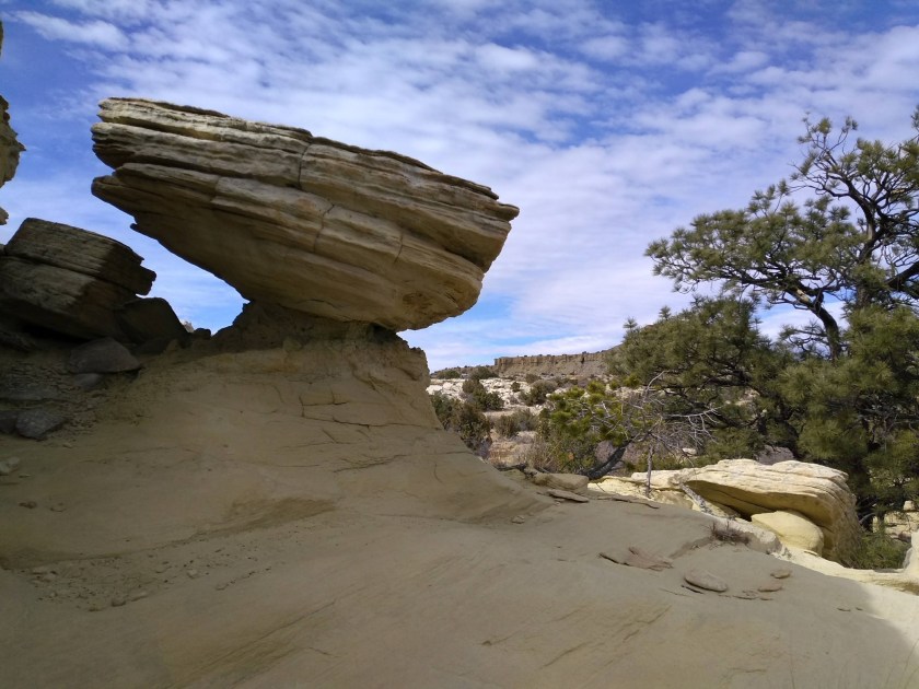 img_20190213_125432226