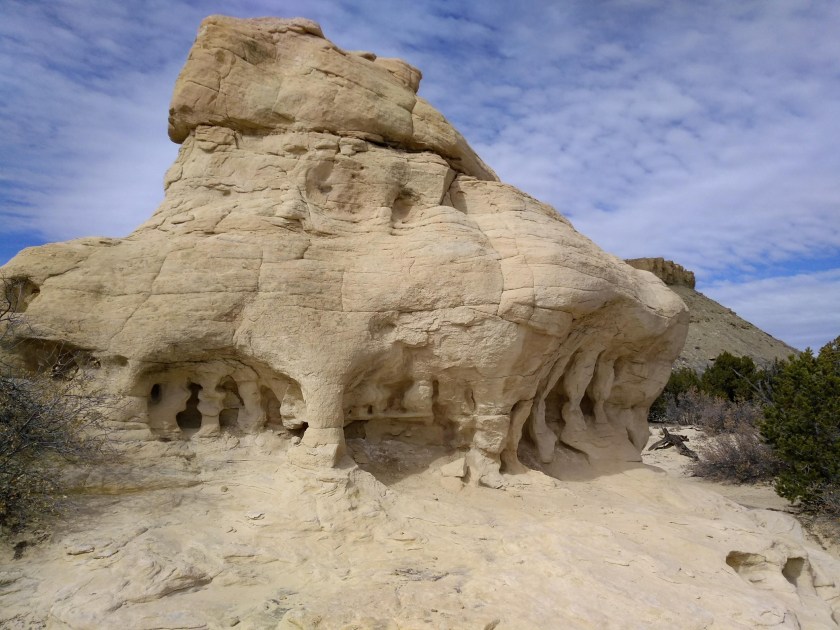 img_20190213_130217206