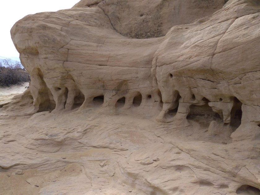 img_20190213_130343126