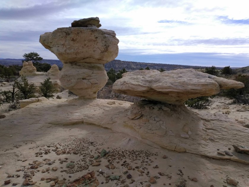 img_20190213_132210013