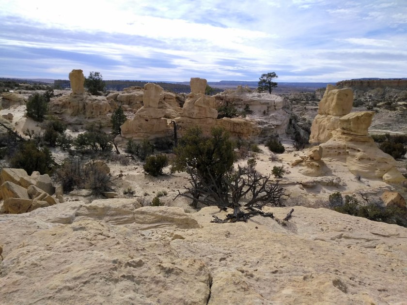 img_20190213_133344172