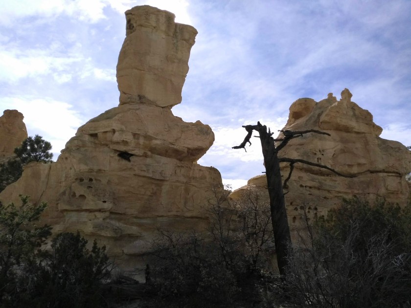 img_20190213_134034630