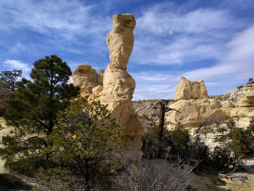 img_20190213_134125639