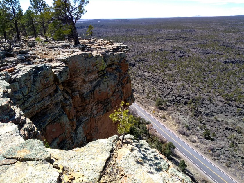 img_20190306_113140694