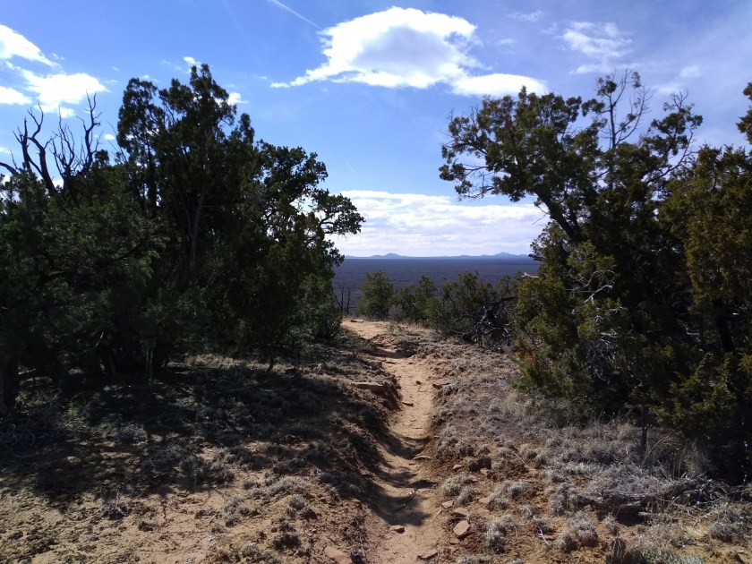 img_20190306_134451002