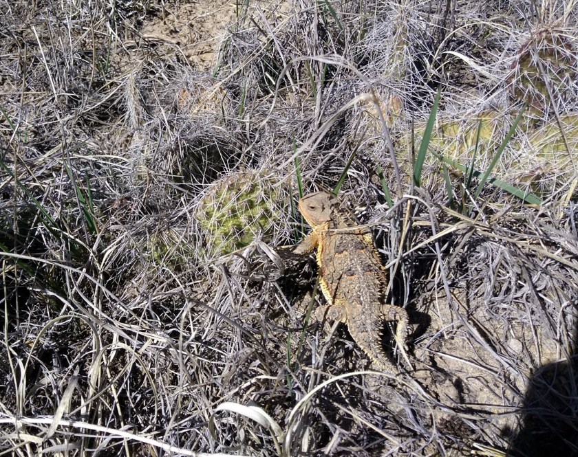 img_20190325_114406920