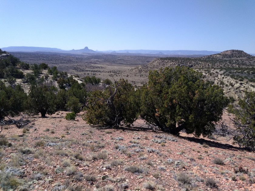 img_20190325_115723334