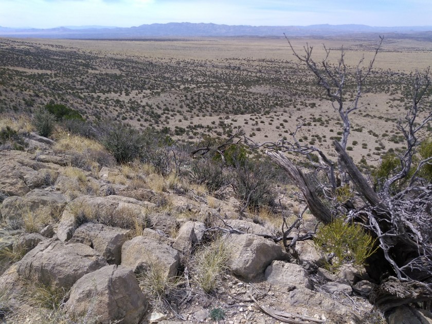 img_20190327_123850597