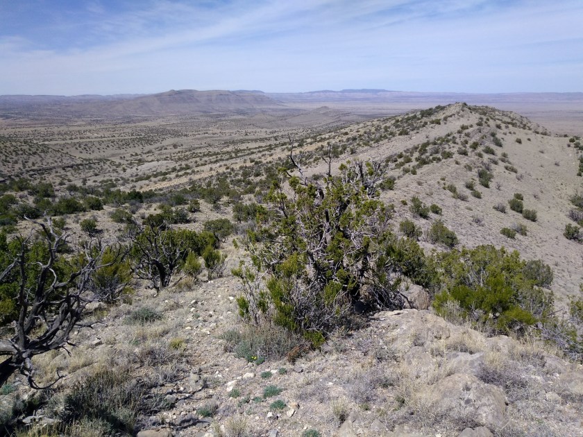 img_20190327_134756224