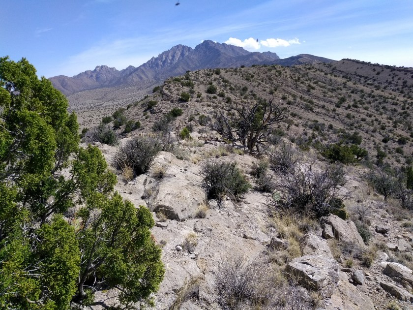 img_20190327_143015166