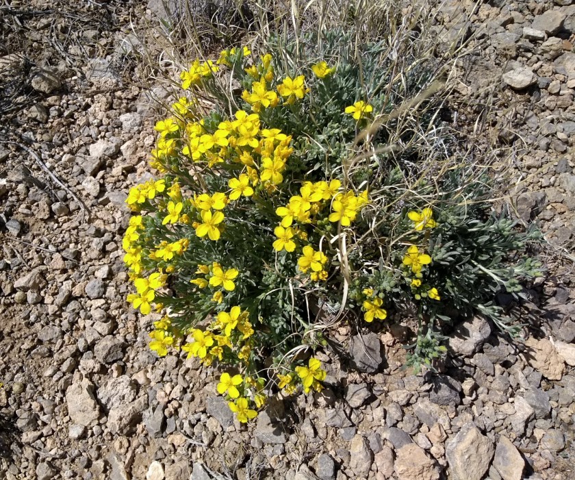 img_20190327_150949827