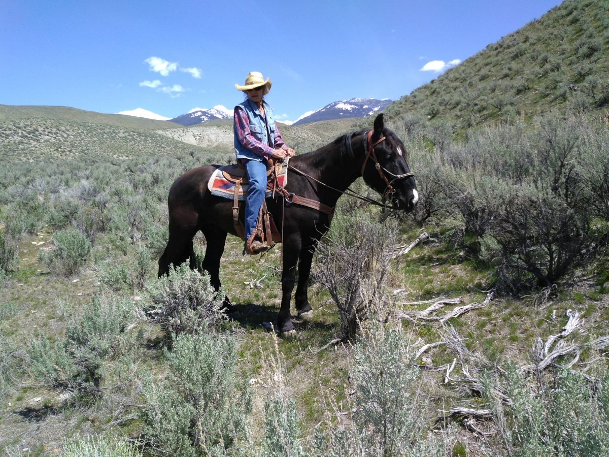 Another Idaho Horseback&nbsp;Adventure